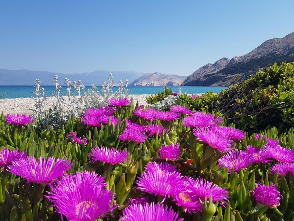 Villa Aquarium Baška Exterior foto